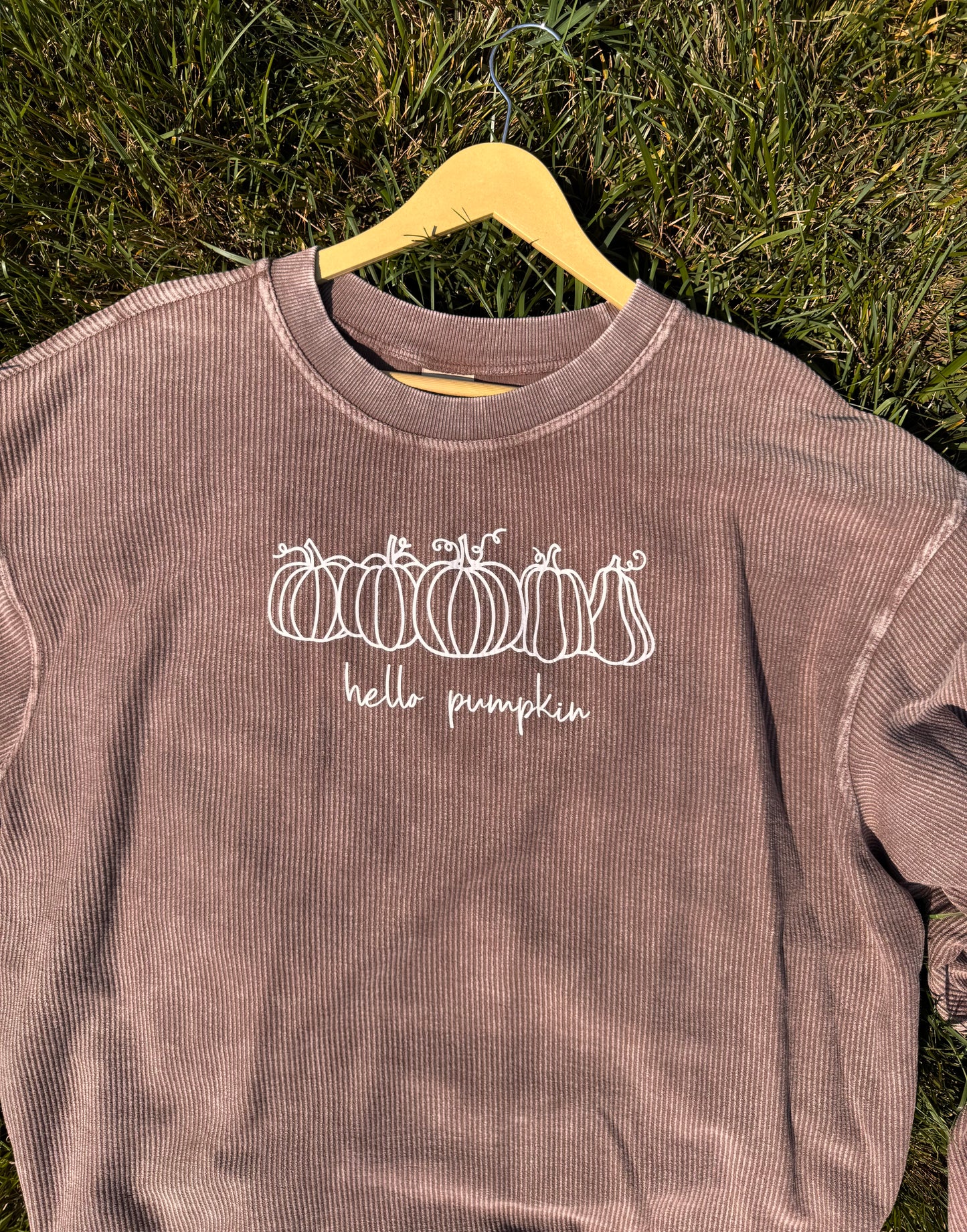 Hello Pumpkin Corded Crew