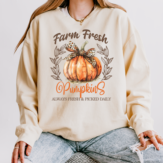 Farm Fresh Pumpkins